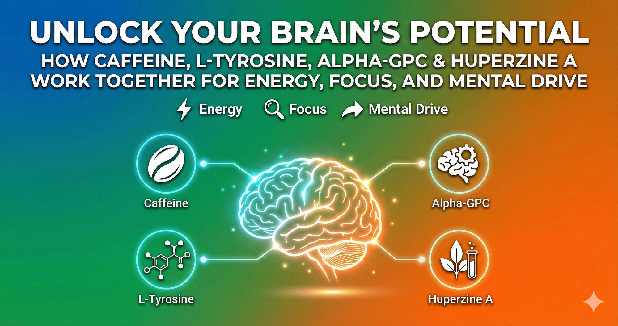 How Caffeine, L-Tyrosine, Alpha-GPC & Huperzine A Work Together for Energy, Focus, and Mental Drive